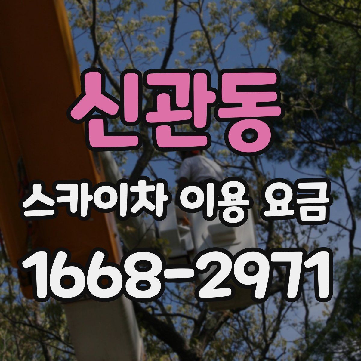 신관동 스카이차 이용 요금 안내에서 꼭 확인할 세부 항목
