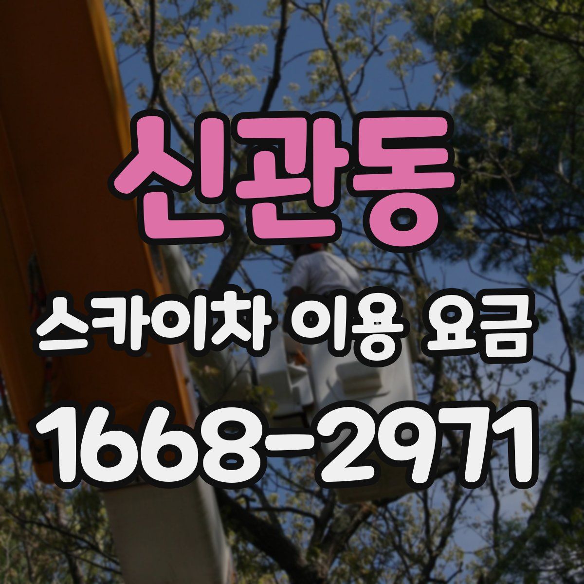 신관동 스카이차 이용 요금