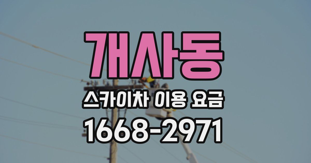개사동 스카이차 이용 요금