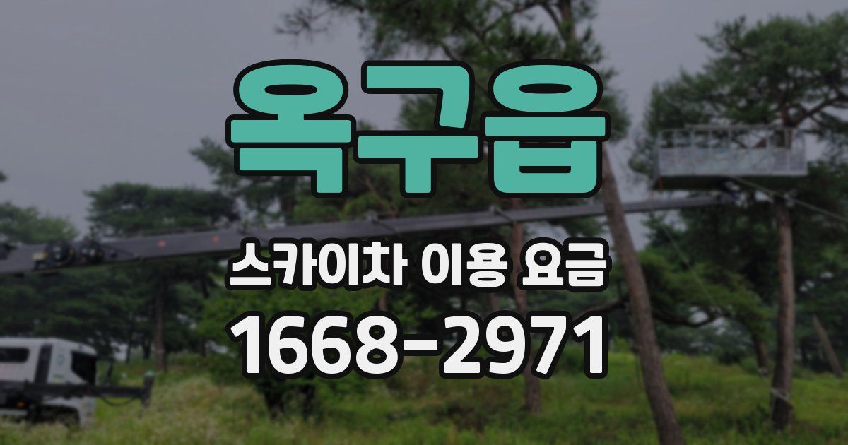 옥구읍 스카이차 이용 요금