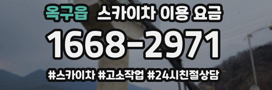 옥구읍 스카이차 이용 요금