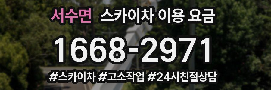 서수면 스카이차 이용 요금