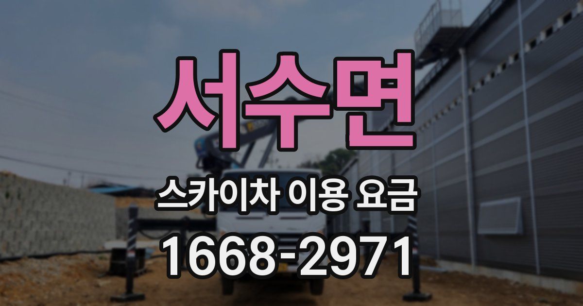 서수면 스카이차 이용 요금