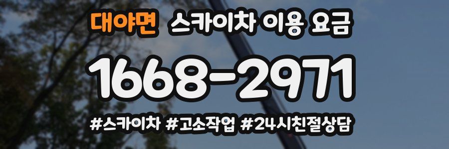 대야면 스카이차 이용 요금