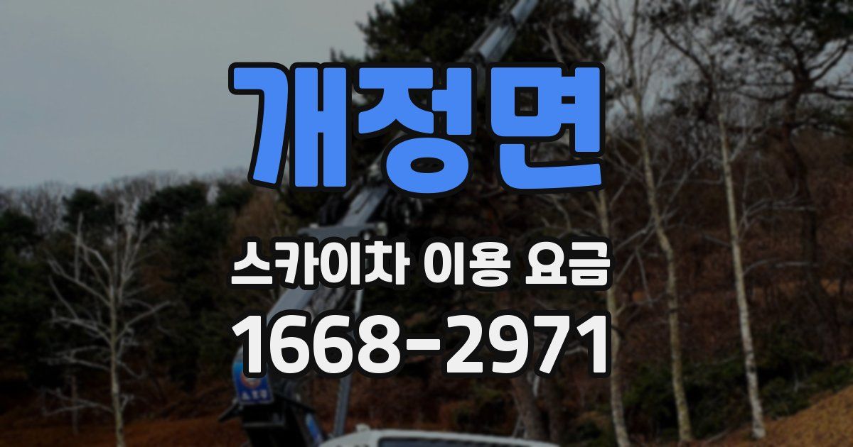 개정면 스카이차 이용 요금
