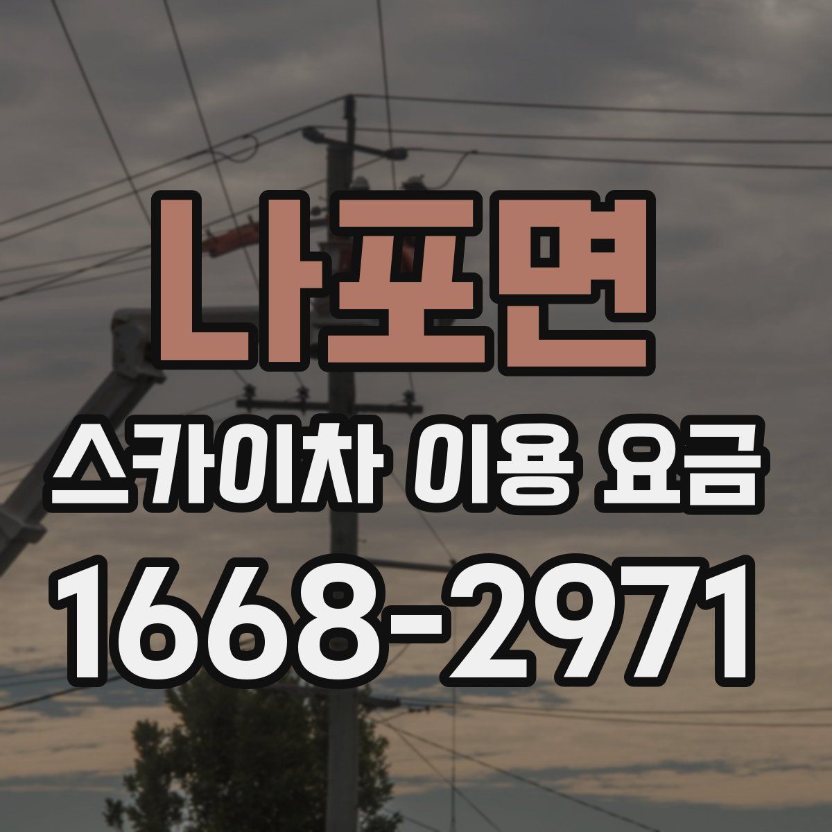 나포면 스카이차 이용 요금