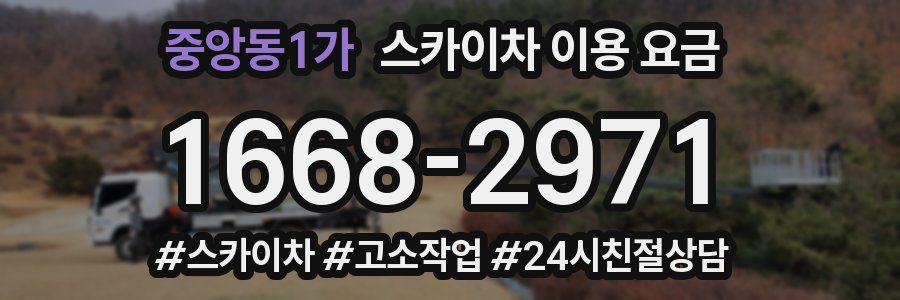 중앙동1가 스카이차 이용 요금