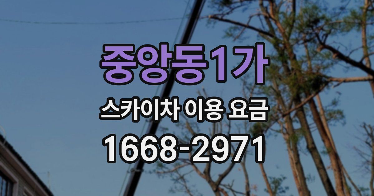 중앙동1가 스카이차 이용 요금