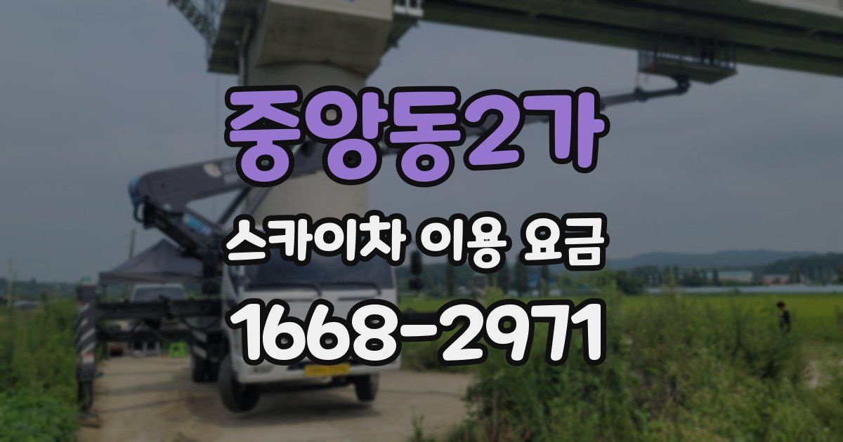 중앙동2가 스카이차 이용 요금