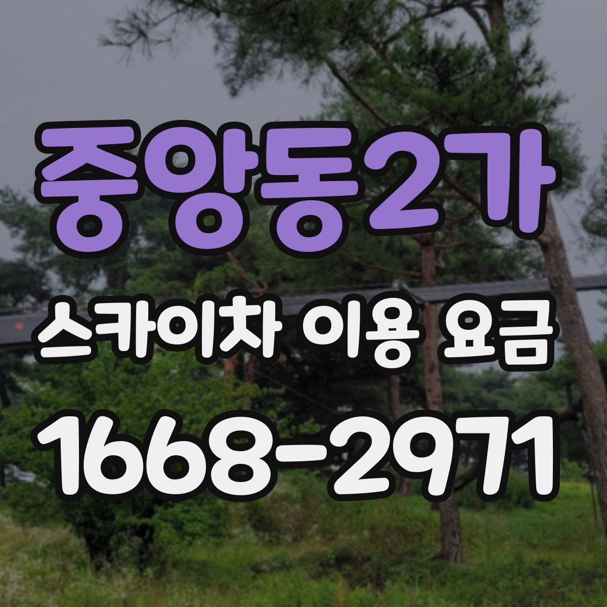 중앙동2가 스카이차 이용 요금
