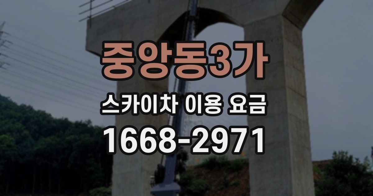 중앙동3가 스카이차 이용 요금