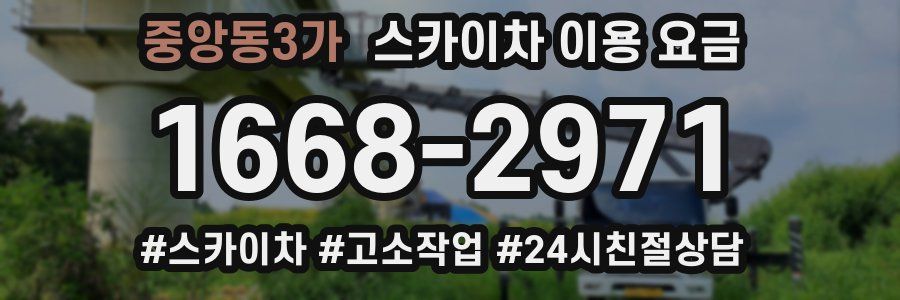 중앙동3가 스카이차 이용 요금