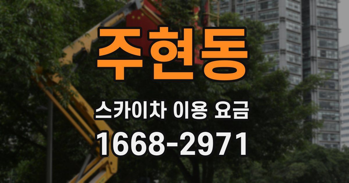 주현동 스카이차 이용 요금