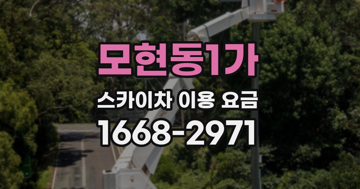 모현동1가 스카이차 이용 요금