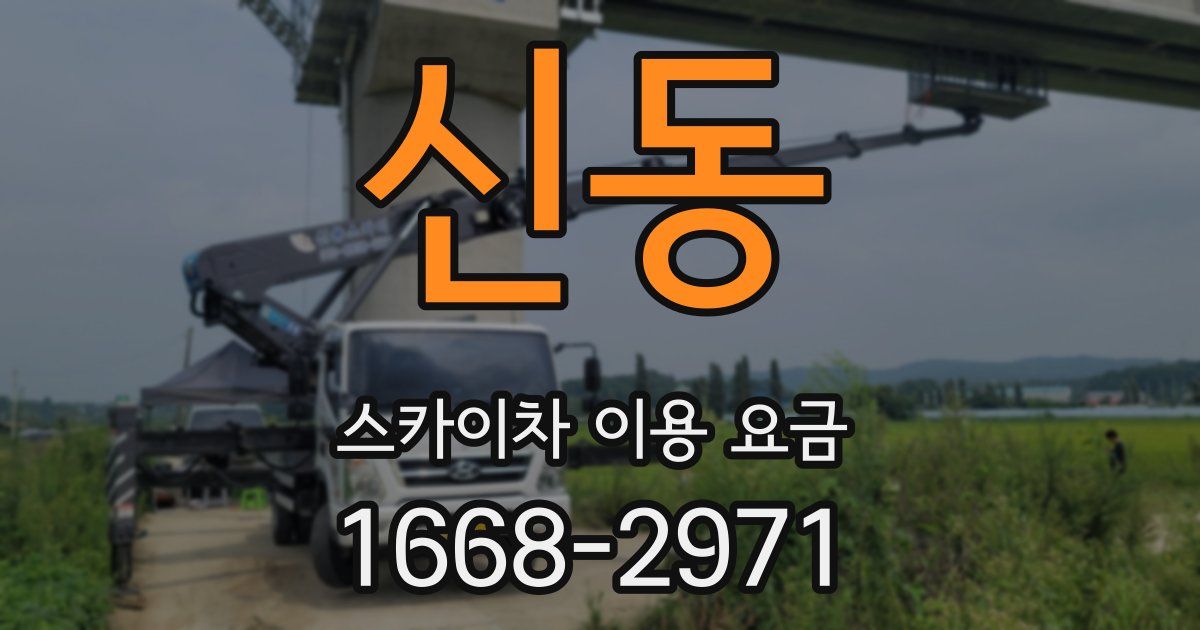 신동 스카이차 이용 요금