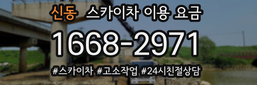 신동 스카이차 이용 요금