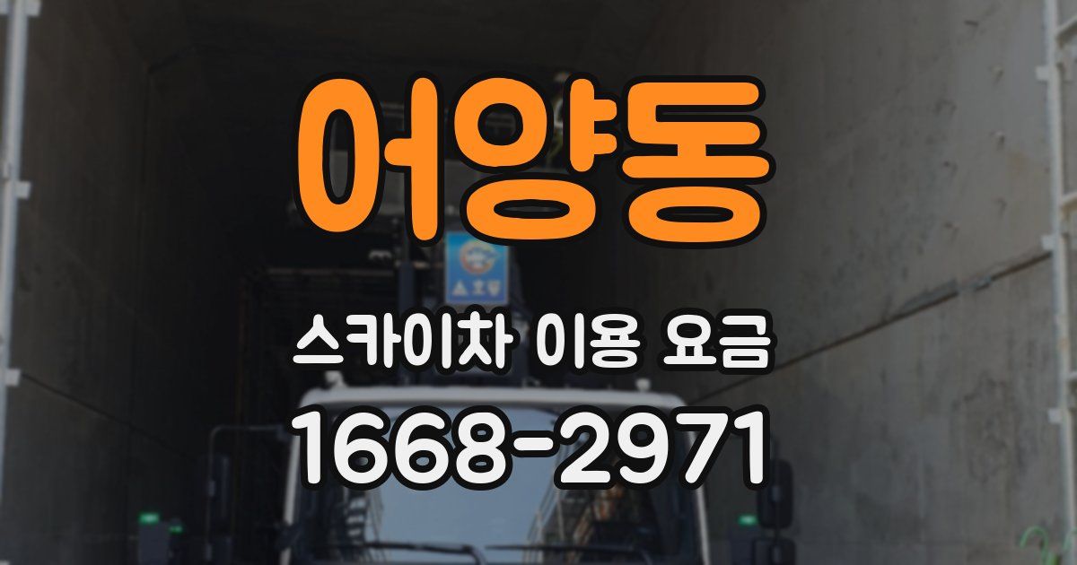 어양동 스카이차 이용 요금