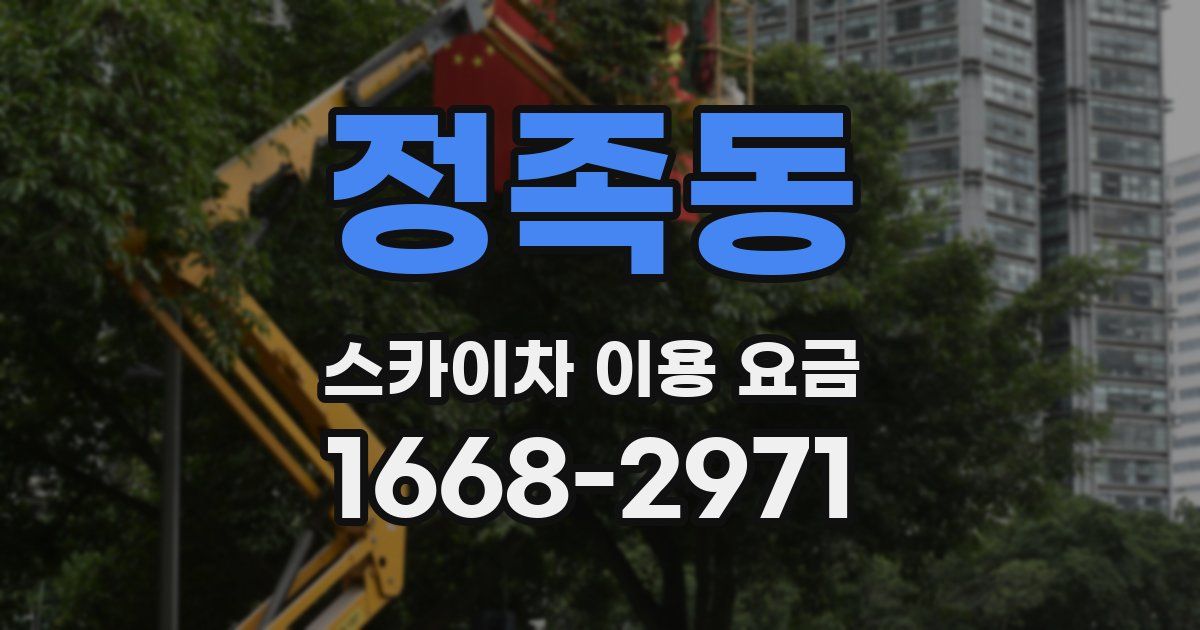 정족동 스카이차 이용 요금