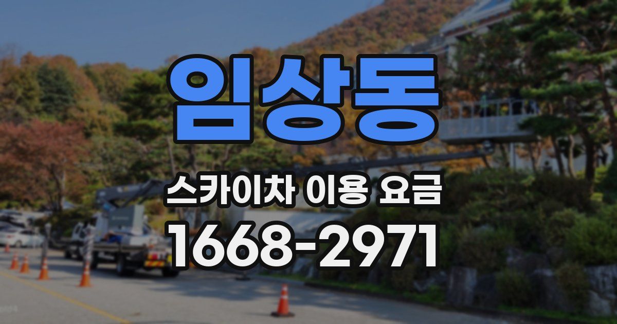 임상동 스카이차 이용 요금