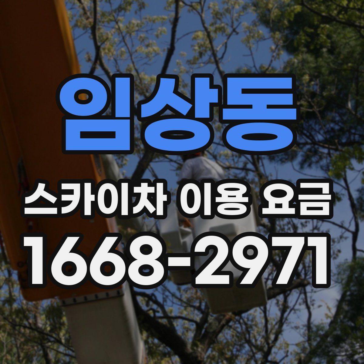 임상동 스카이차 이용 요금