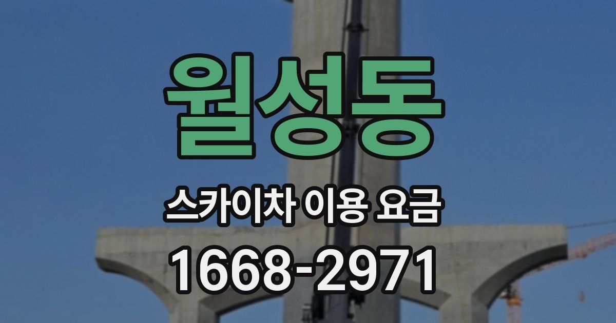 월성동 스카이차 이용 요금