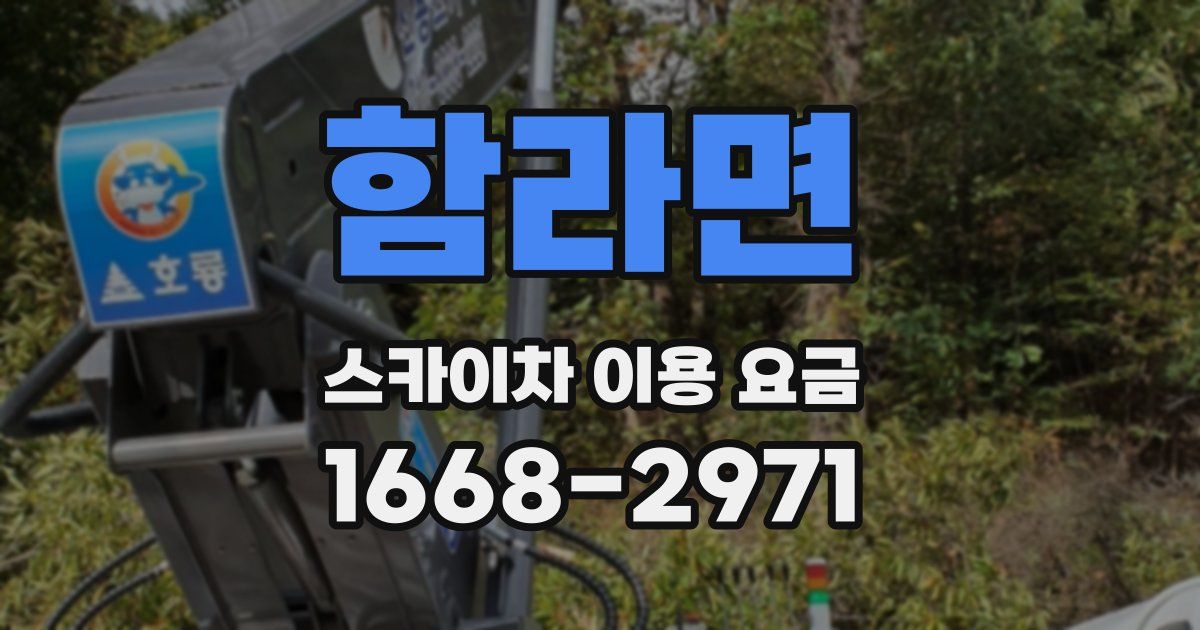 함라면 스카이차 이용 요금
