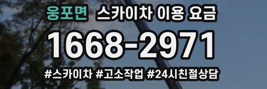 웅포면 스카이차 이용 요금