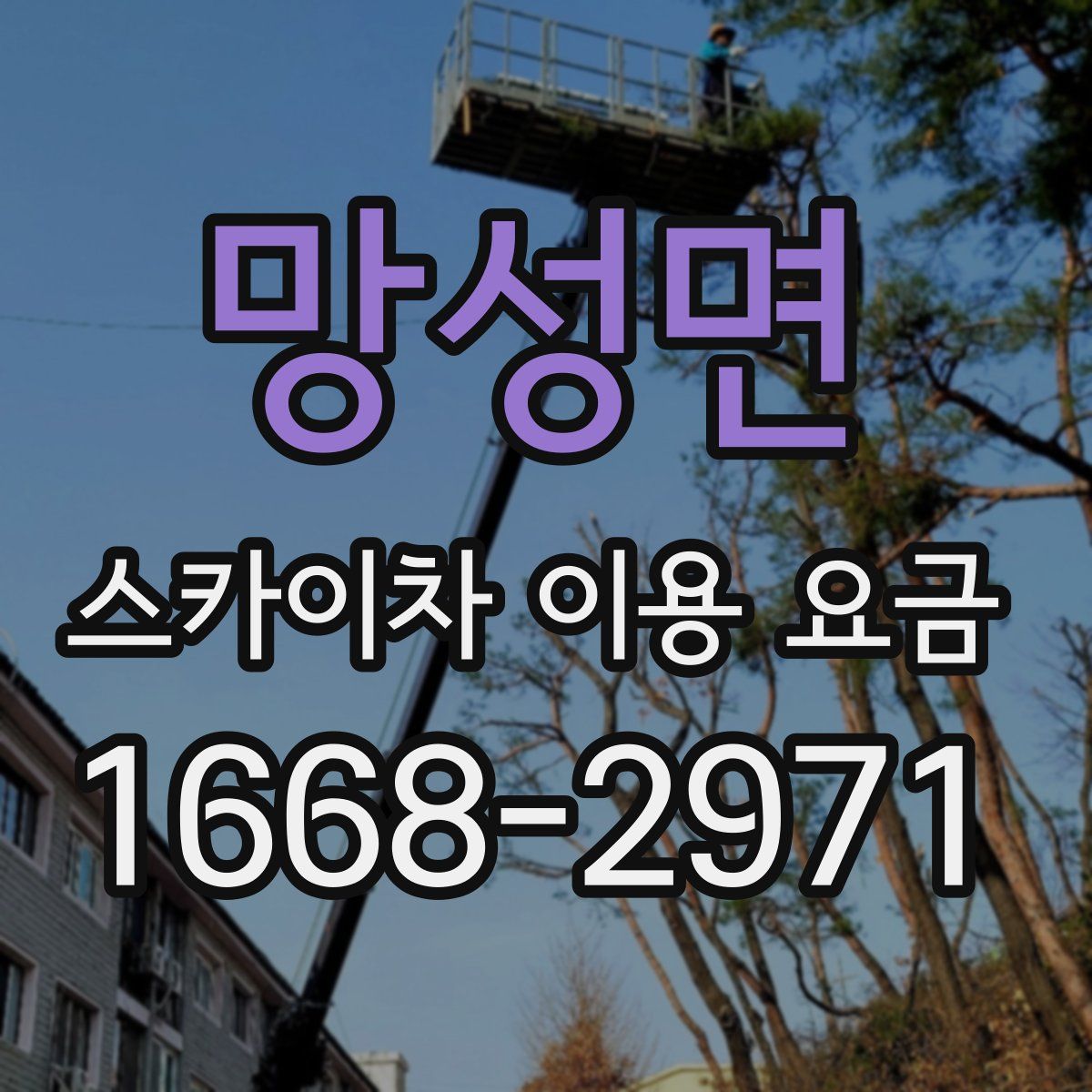 망성면 스카이차 이용 요금