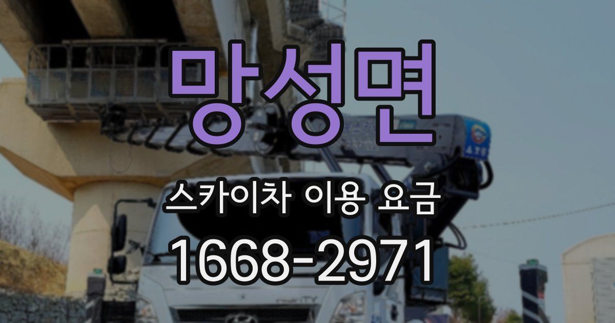 망성면 스카이차 이용 요금