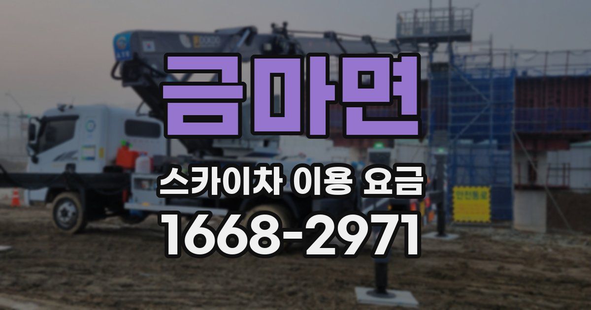 금마면 스카이차 이용 요금
