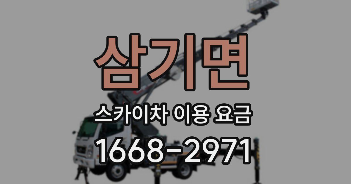삼기면 스카이차 이용 요금