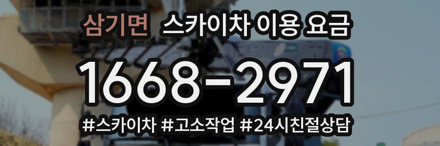 삼기면 스카이차 이용 요금