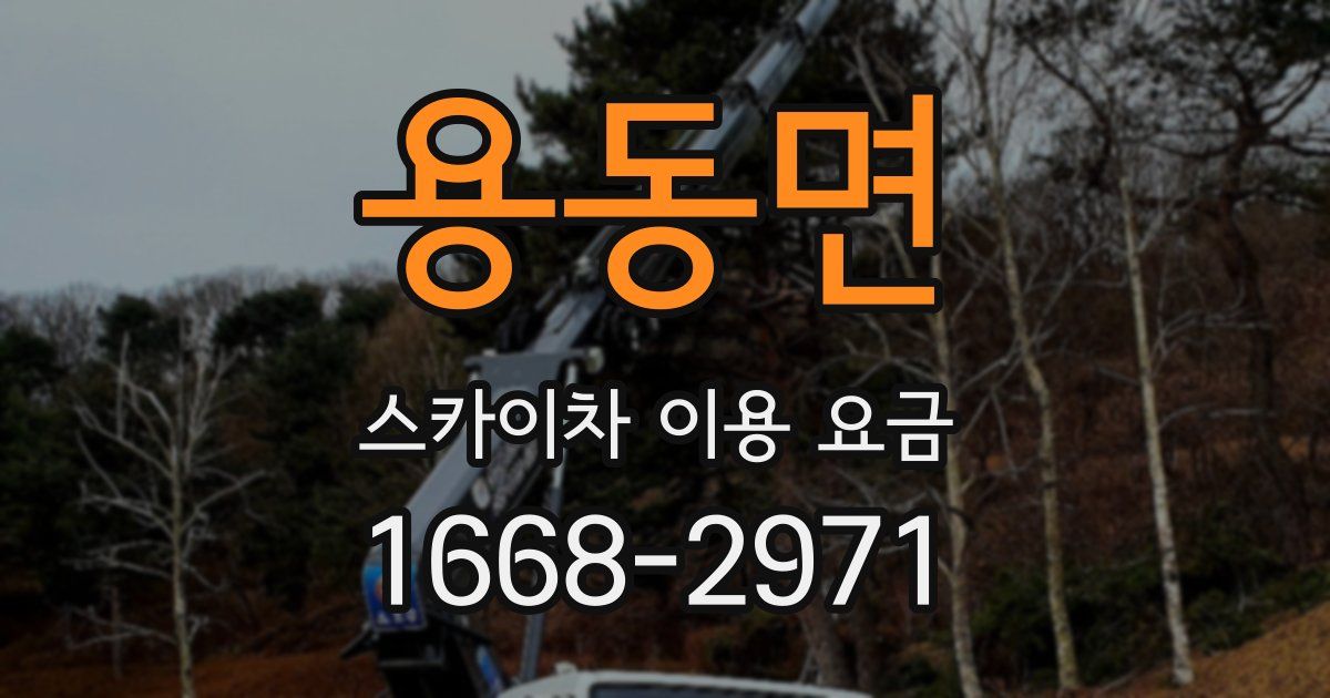 용동면 스카이차 이용 요금