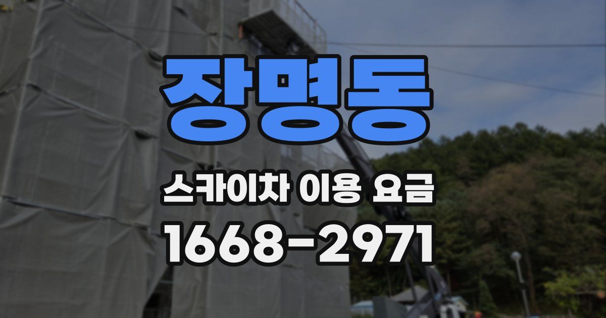 장명동 스카이차 이용 요금