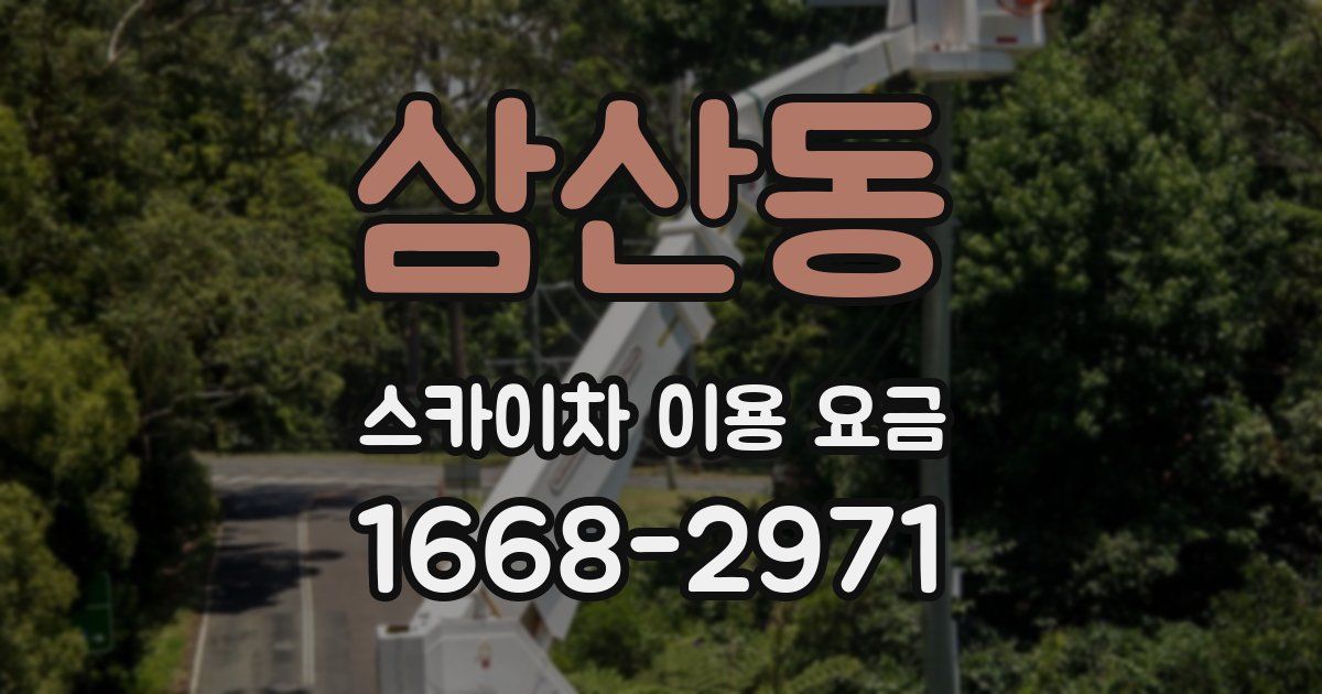 삼산동 스카이차 이용 요금