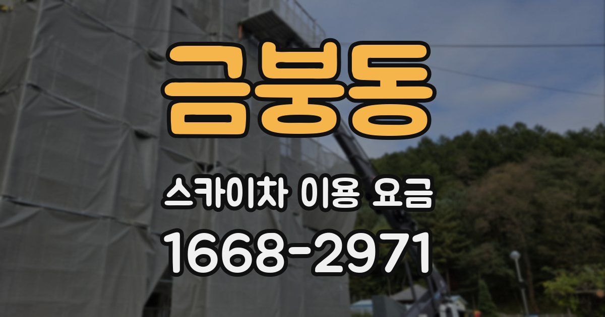 금붕동 스카이차 이용 요금
