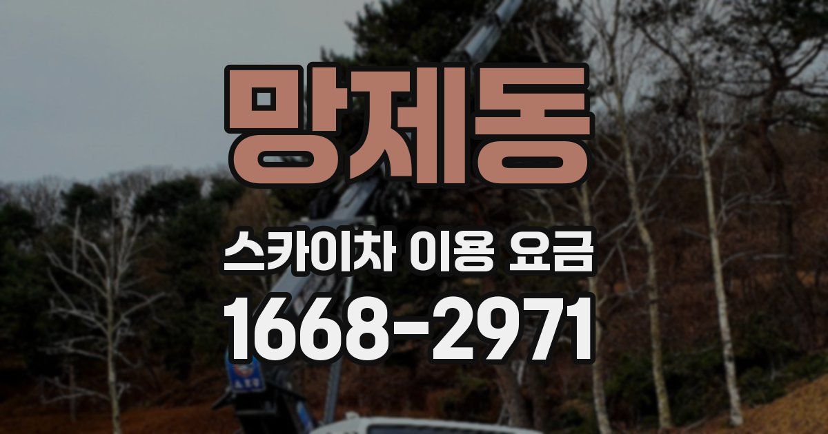 망제동 스카이차 이용 요금