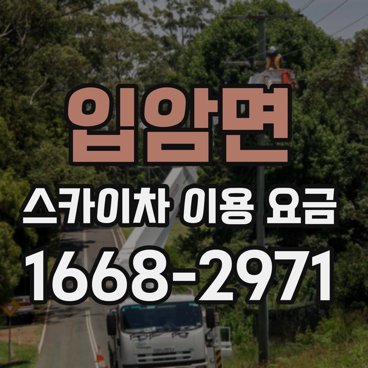 입암면 스카이차 이용 요금