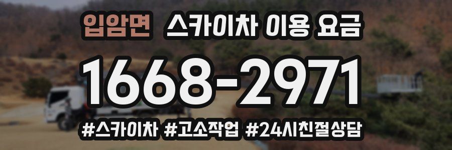 입암면 스카이차 이용 요금