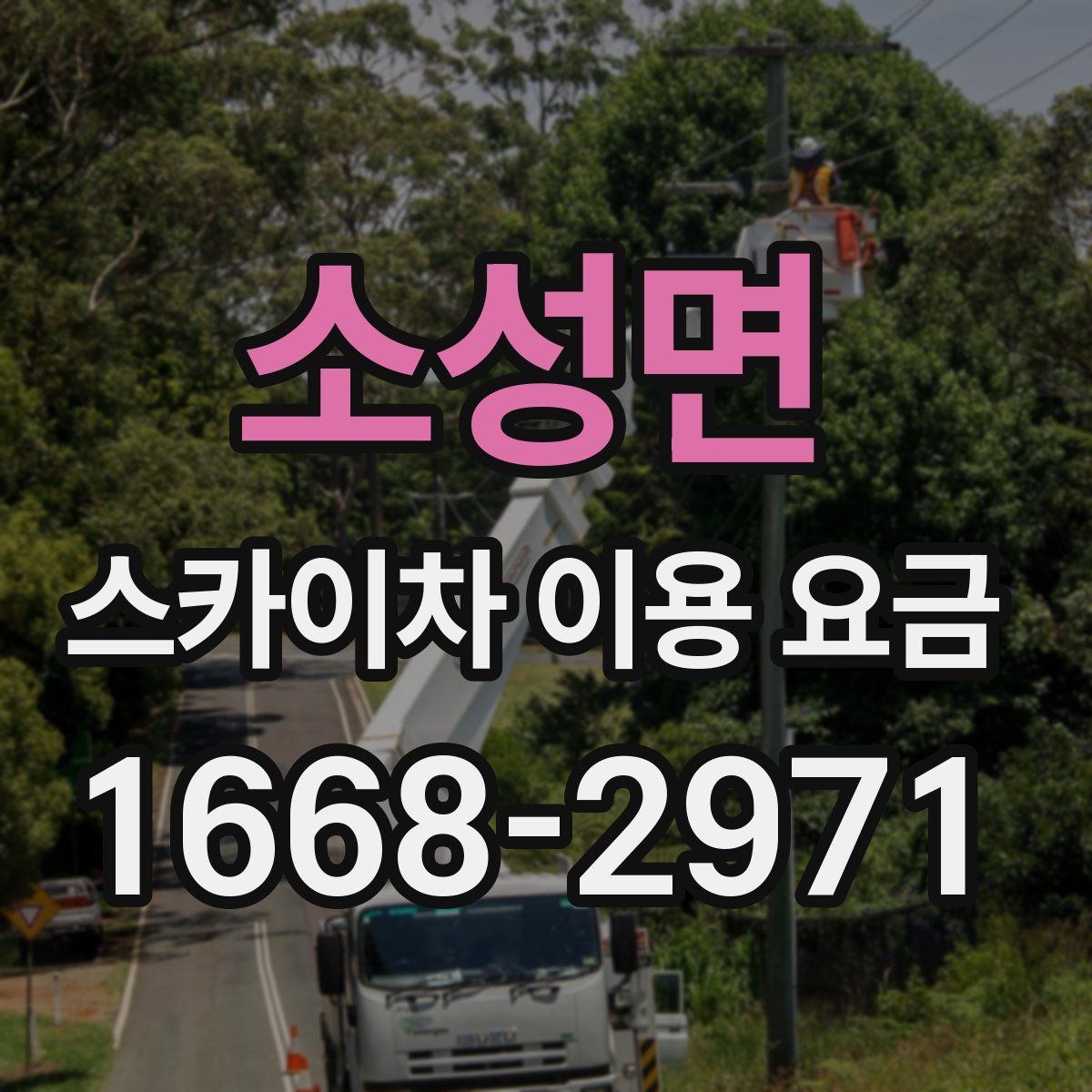 소성면 스카이차 이용 요금