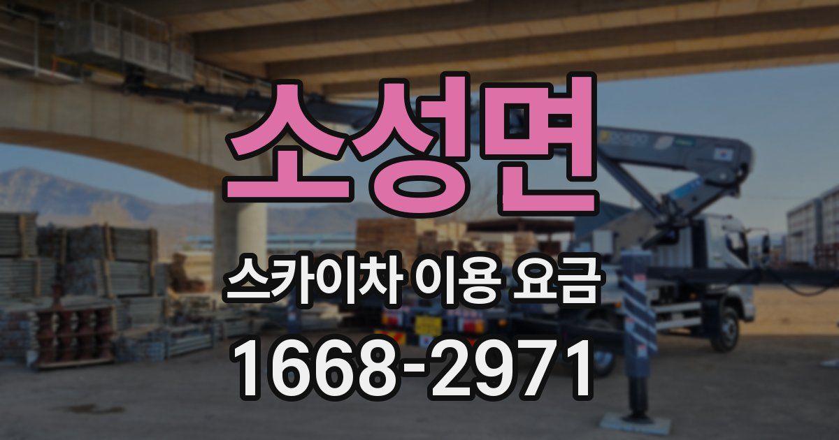 소성면 스카이차 이용 요금