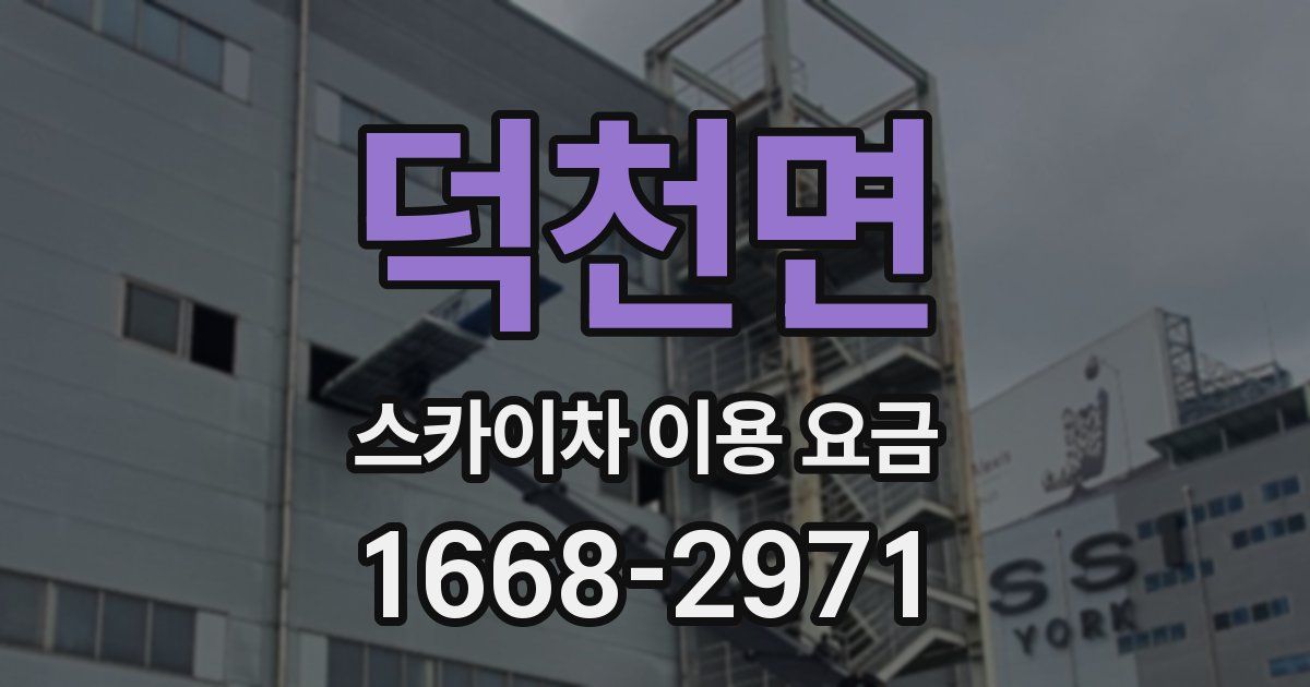 덕천면 스카이차 이용 요금