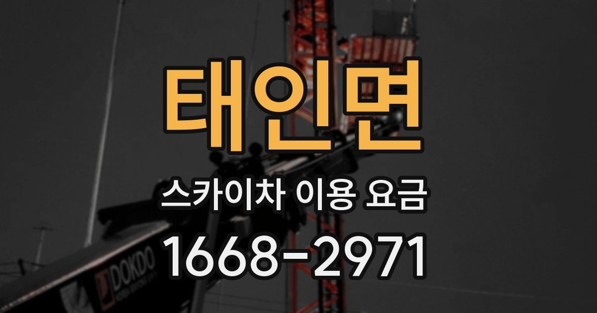 태인면 스카이차 이용 요금