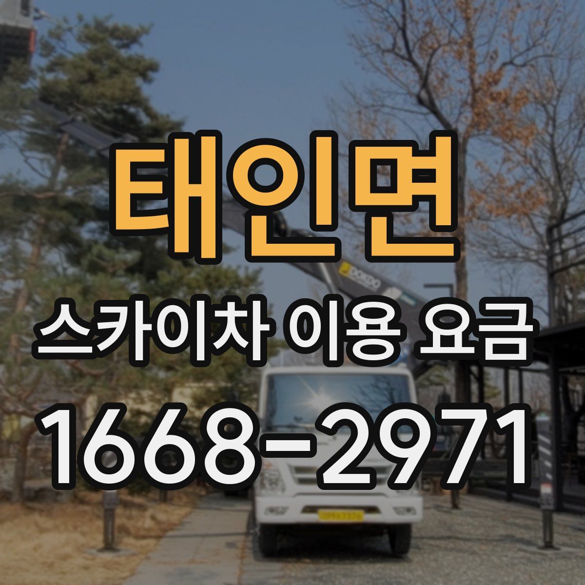 태인면 스카이차 이용 요금