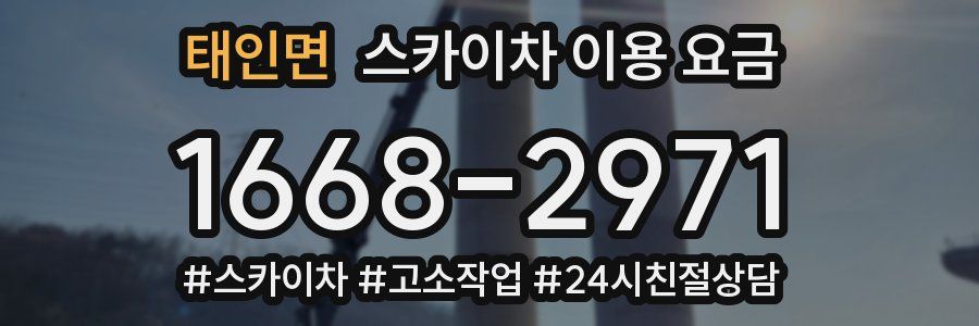 태인면 스카이차 이용 요금