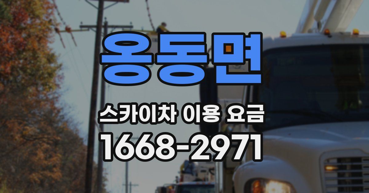 옹동면 스카이차 이용 요금