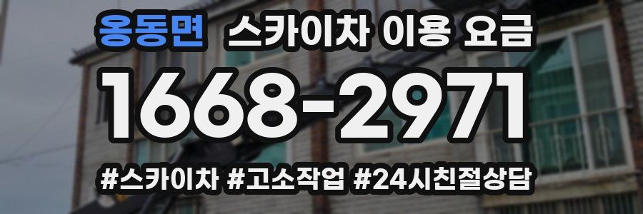 옹동면 스카이차 이용 요금