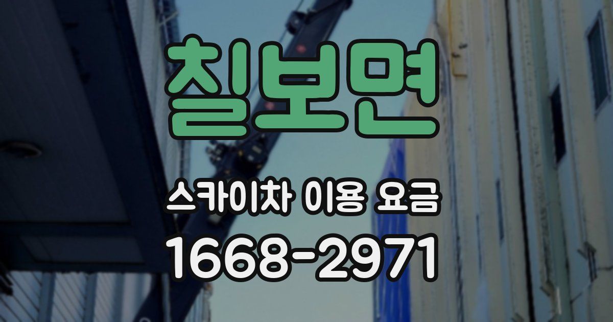 칠보면 스카이차 이용 요금