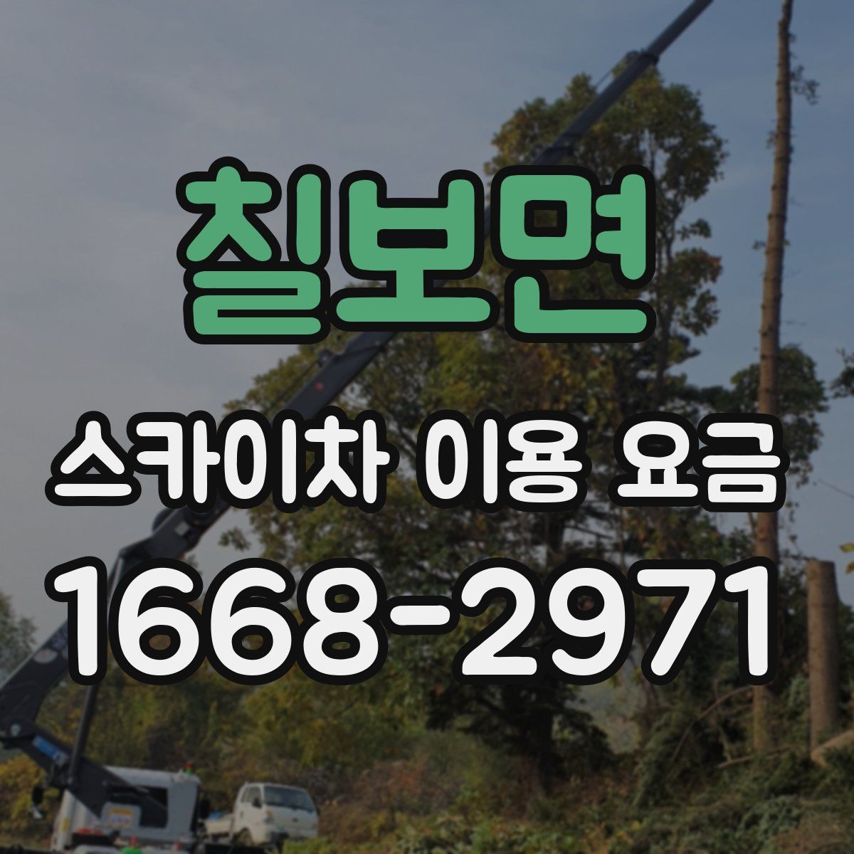 칠보면 스카이차 이용 요금