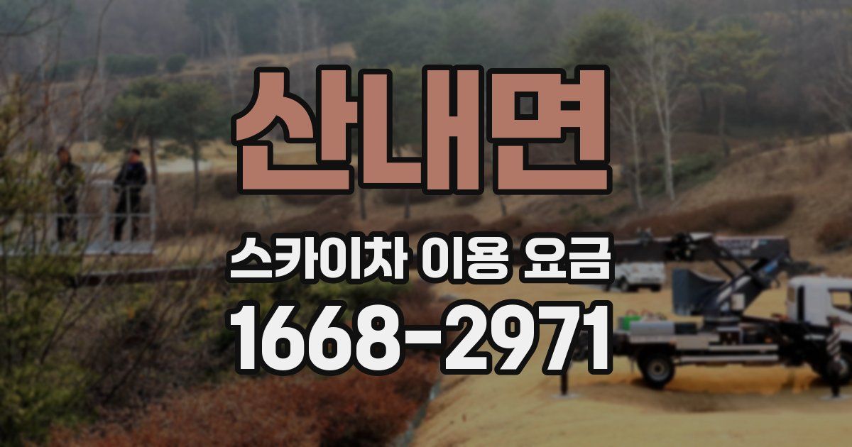 산내면 스카이차 이용 요금